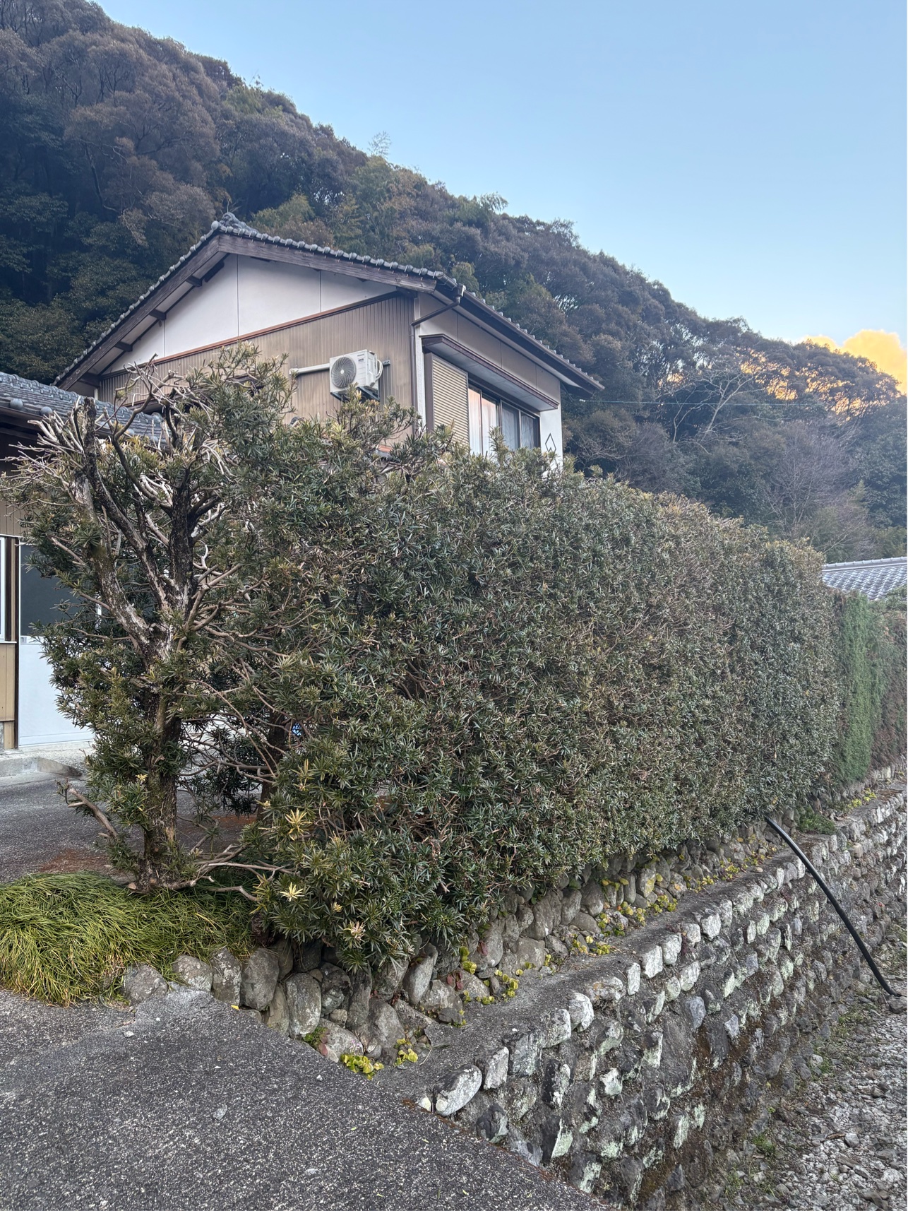 16BBC6CE-0673-4BC6-BF86-26A91F49086D