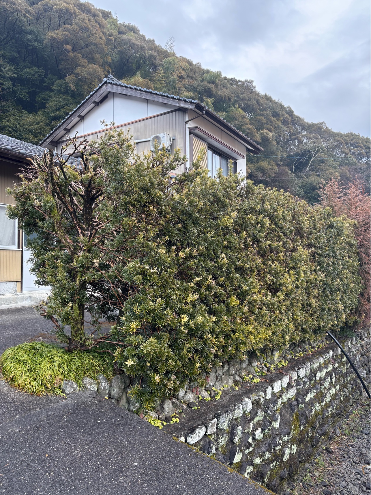 2B6449BA-AE97-4184-AFAA-B41929A862FA