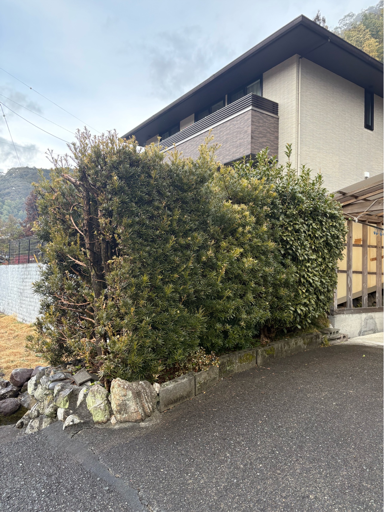 51E9C472-2CE6-4377-B691-316FD4CDAAB7