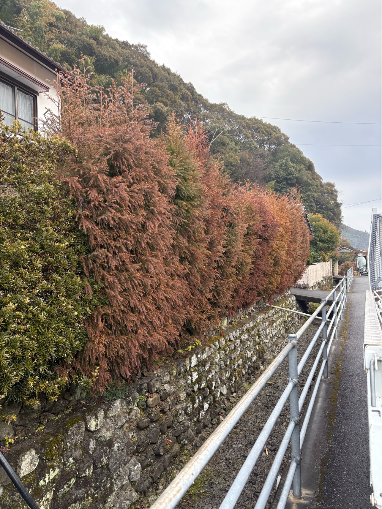 61EE8037-44FE-4334-8563-58C1F22B583D