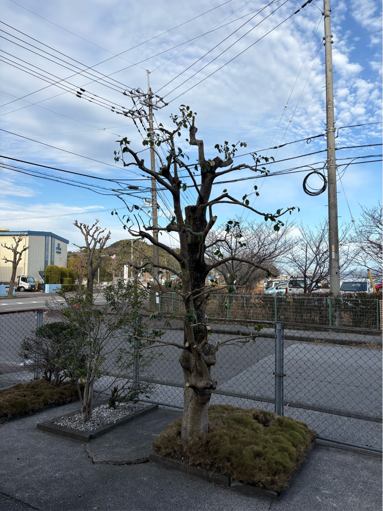 93D04B07-9226-4816-A00A-662F86ED88F8