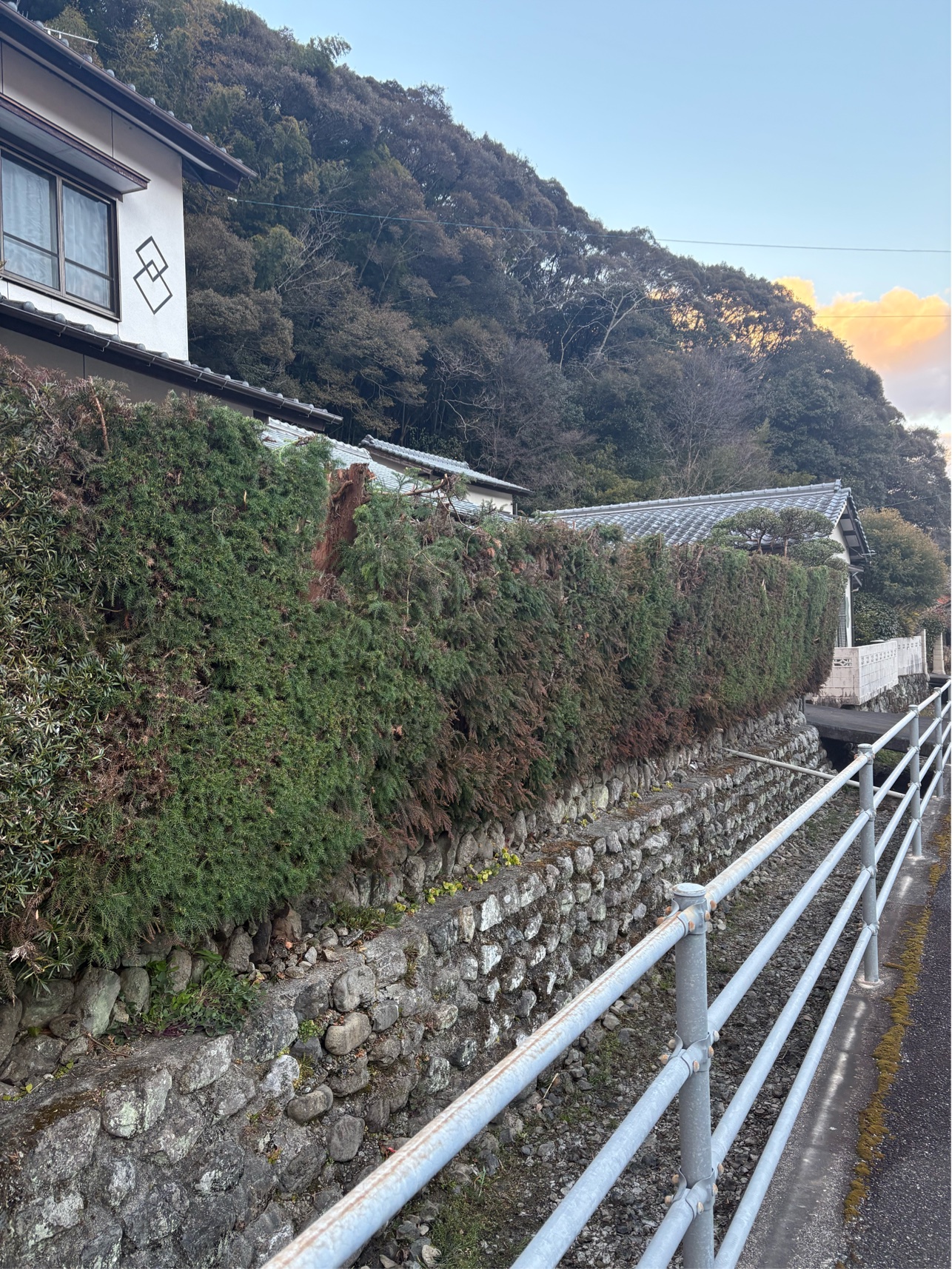 A03D605D-2D09-4DC9-A4E4-B5B5A72B597C