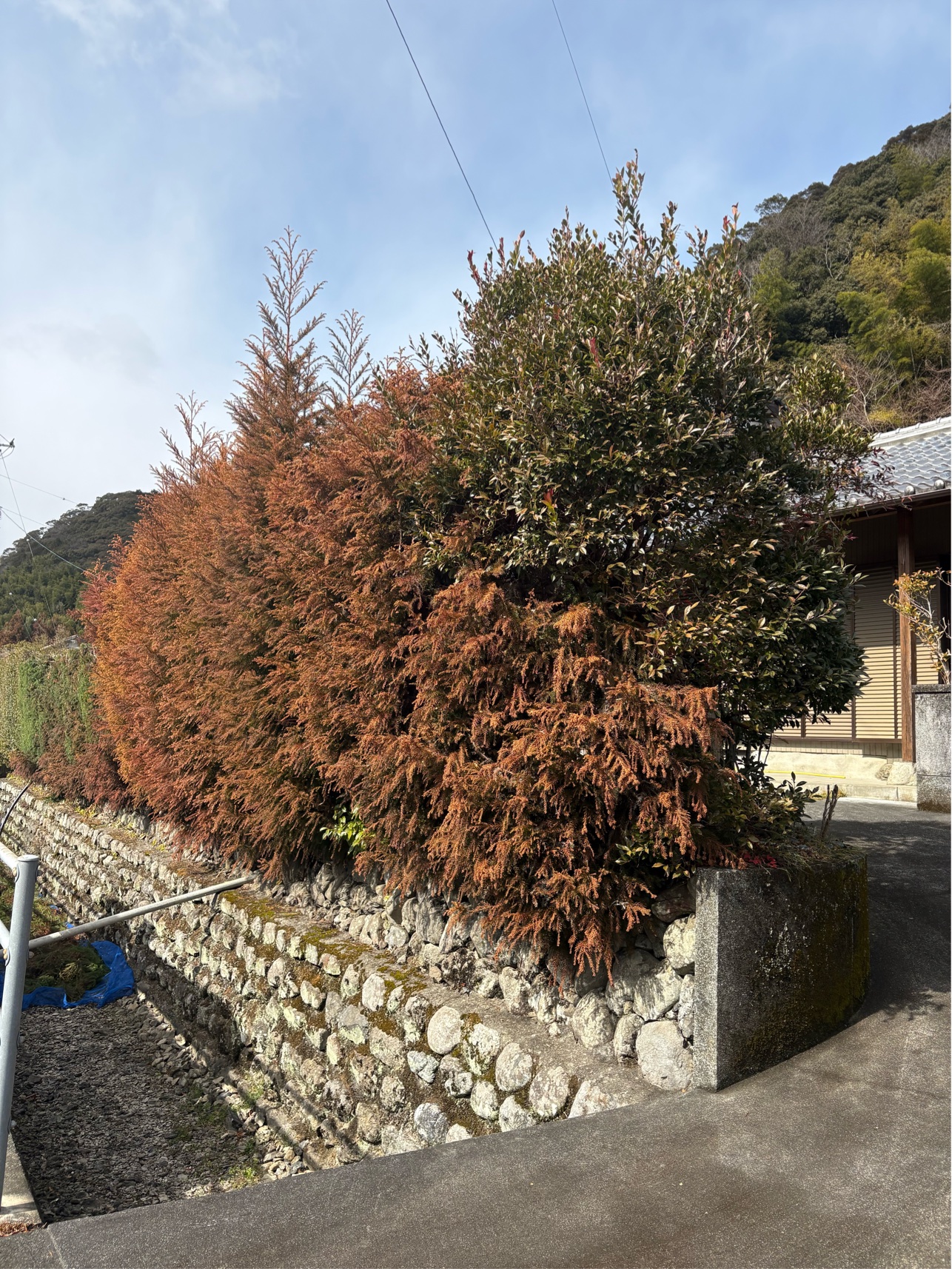 A145D974-CC6F-4ED1-9704-D204164328F6