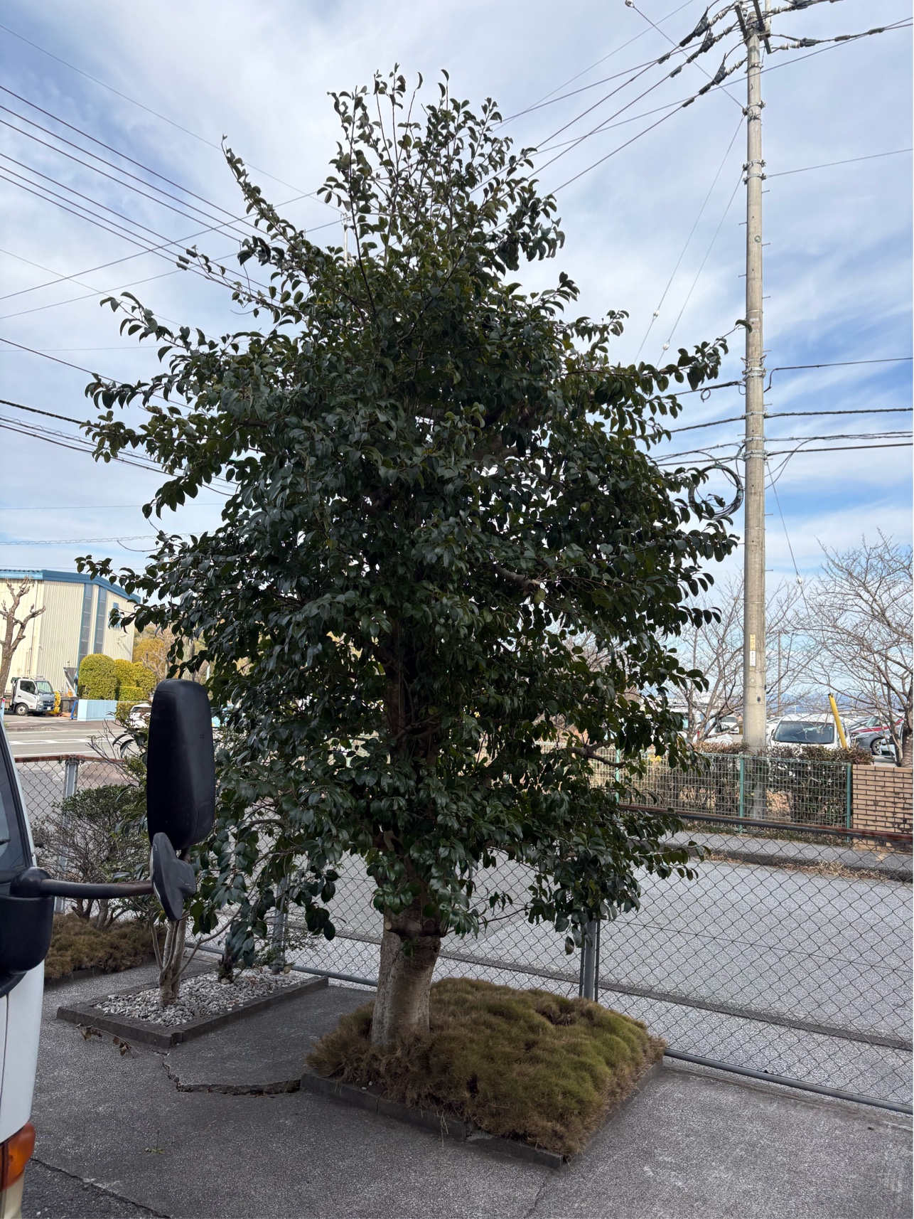 A23661ED-129E-4B8C-9E6F-605657F2FA70