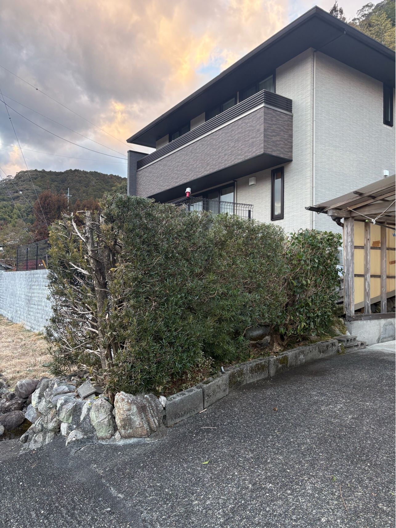 ACD4248D-609E-4A0E-8A5A-3A3167732992