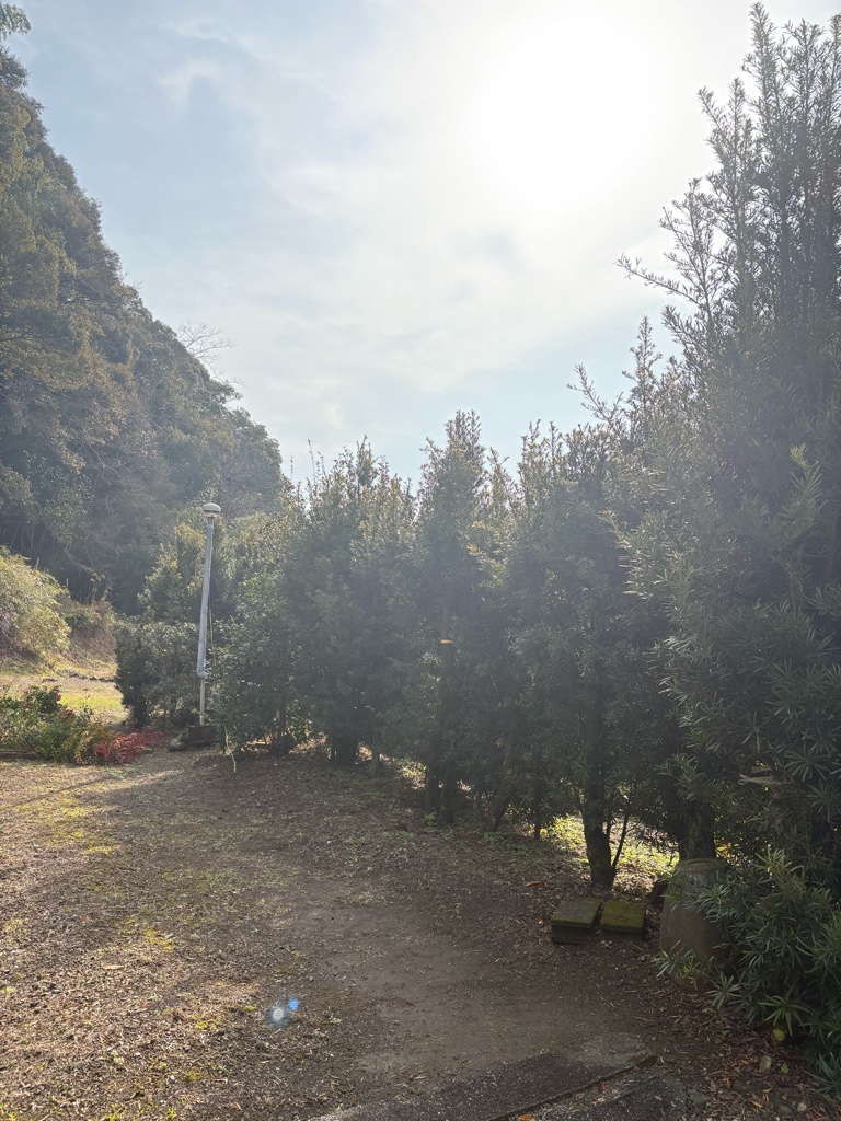 CED520C6-1368-4A6C-8A7F-CA4A29840B81