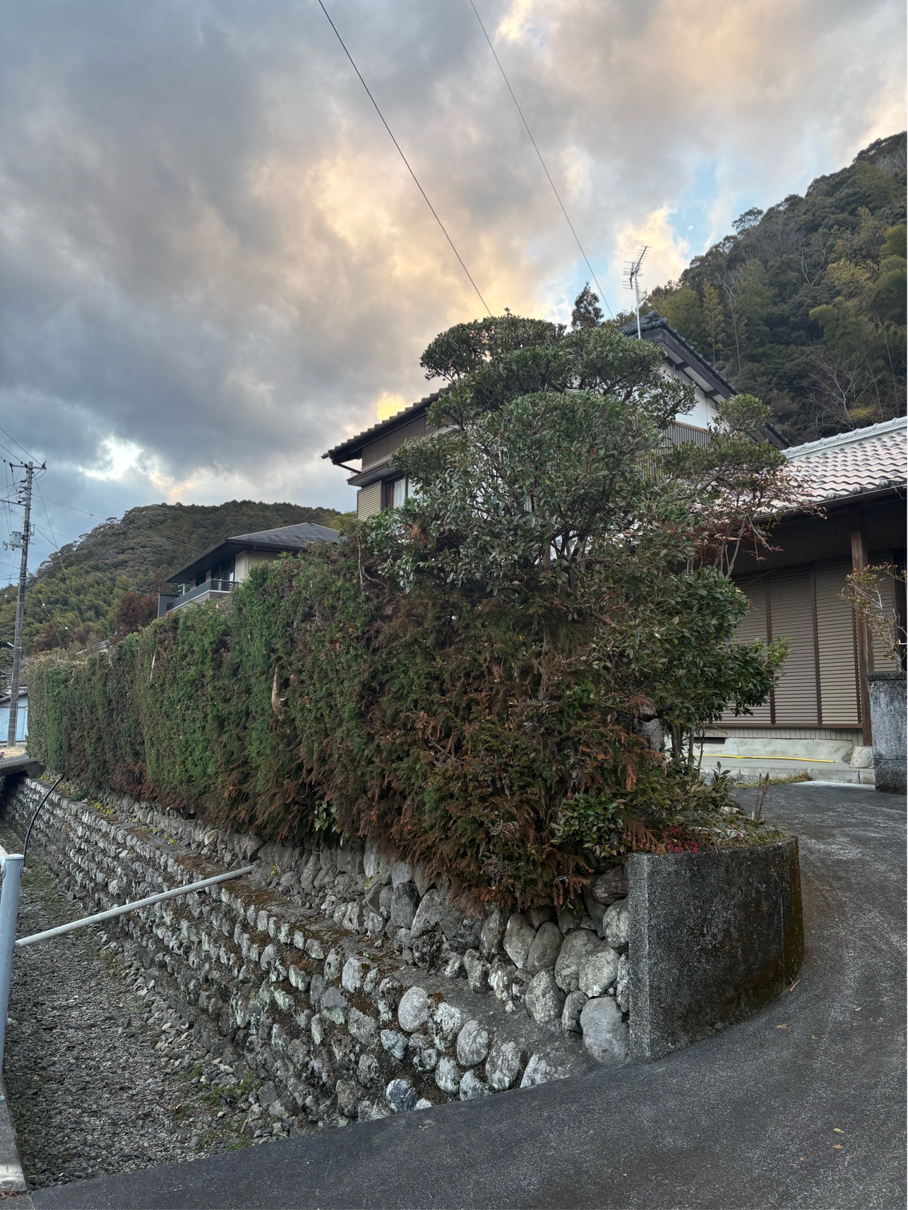 E9677DDE-57DD-4DA1-87B8-932FC3F457E9