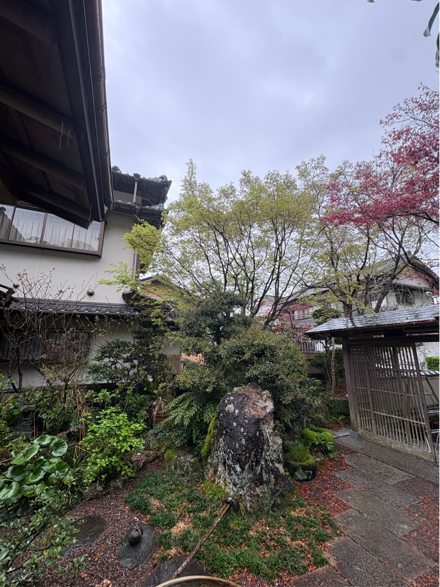 203BF269-7AC5-4C49-8691-32134D1C88DC