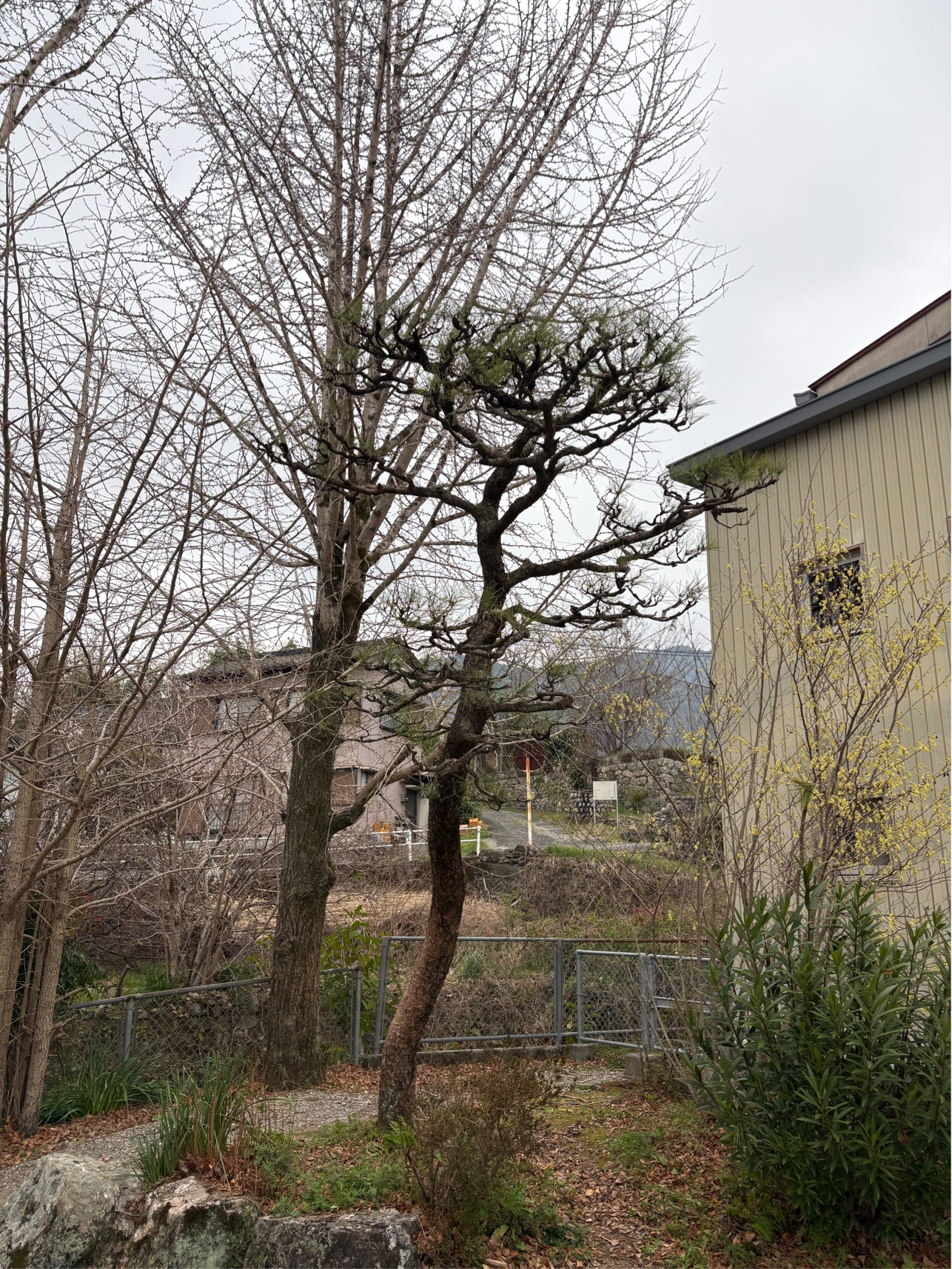 3BA4C63D-6246-4527-A19A-F1DD066C832B