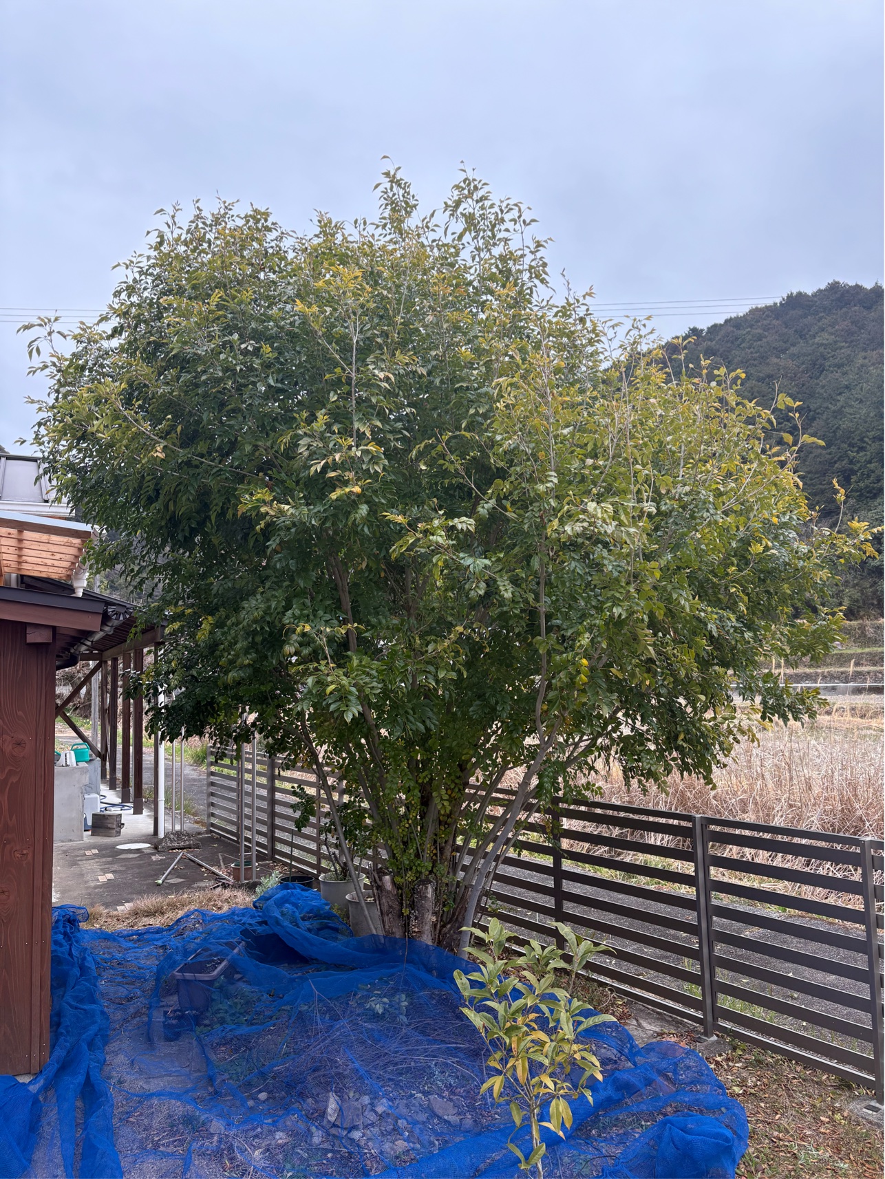 4DBF3D78-BE37-4C25-B993-29A6608C2EA2