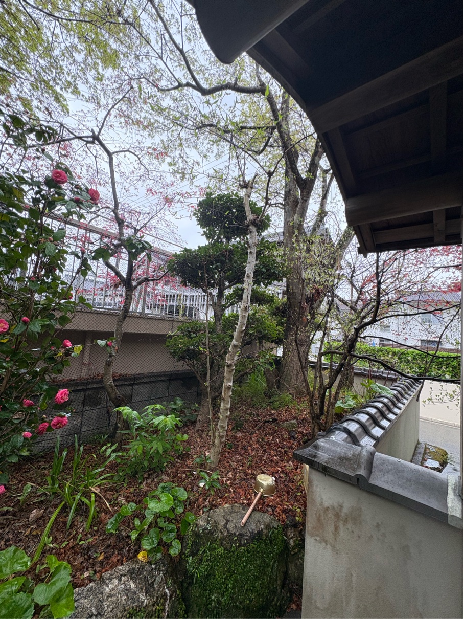 5B76D47A-82CC-42B9-A5F4-E884F3AF7D73