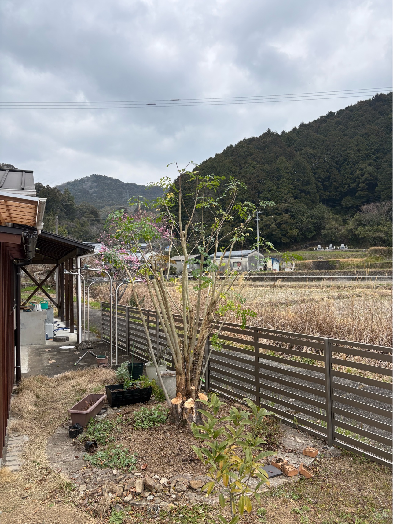 73C3DC0A-DAE1-4A95-95DD-8609D4EF3E3A