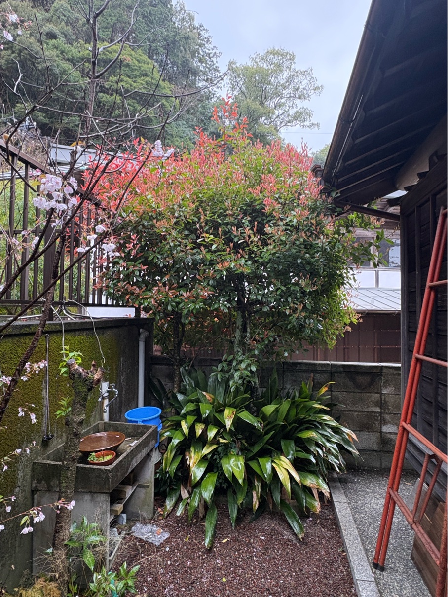 8FCD6D3A-8941-4146-A1EF-4FD9885B546F