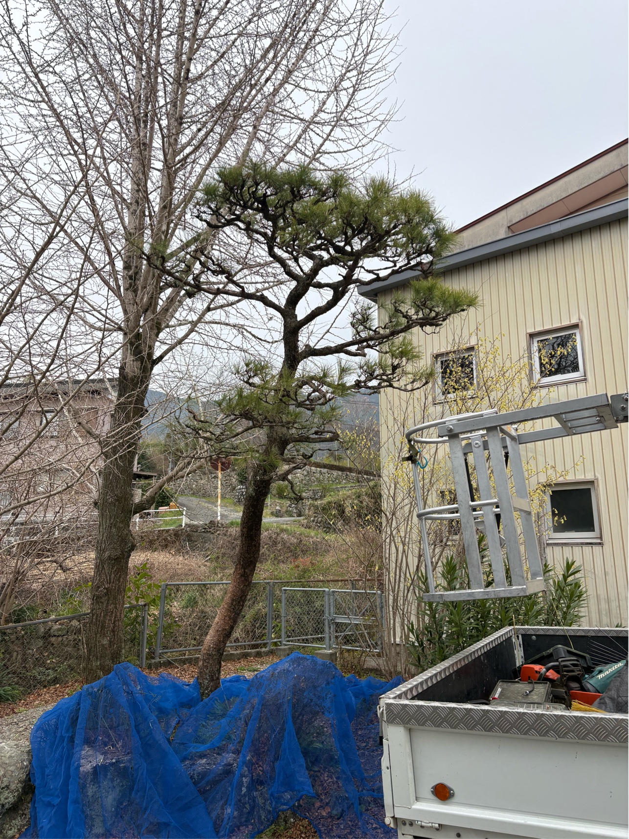 910CC657-4F9A-4AF4-A609-D00B7744457A