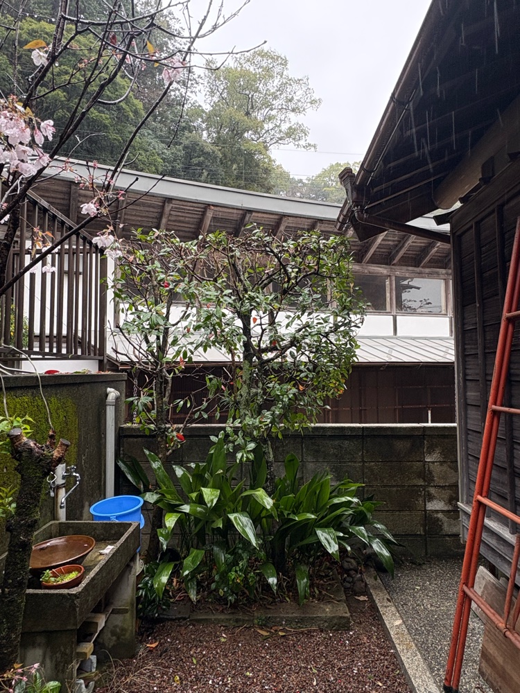 94695C63-115B-42C9-A230-1E12B2FD2914