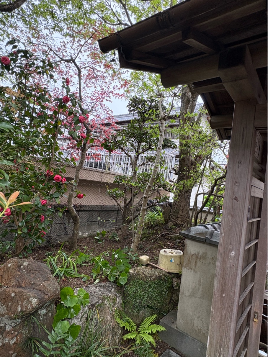 C1E161DD-965F-4253-A863-D86C5184ACFD