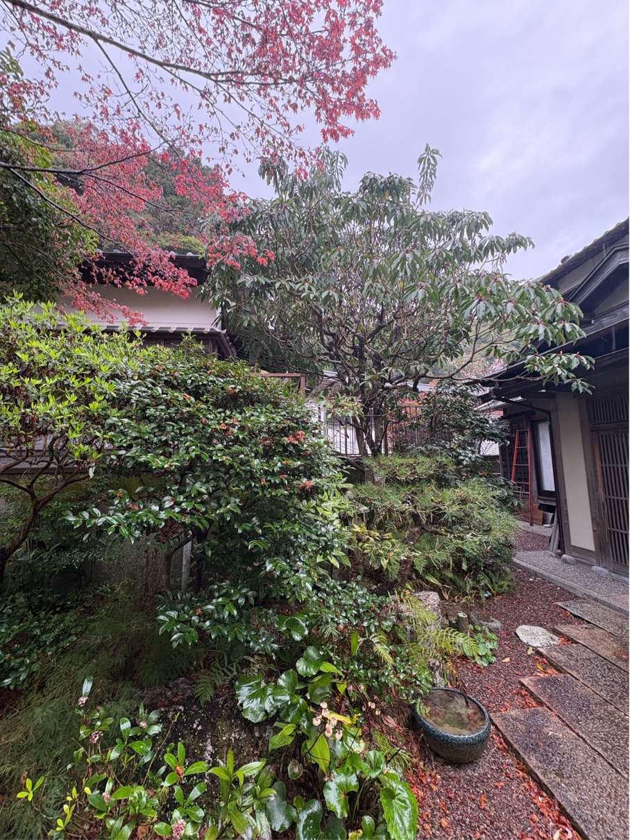 F72B97EC-8463-4A44-827A-BEC278205C3E